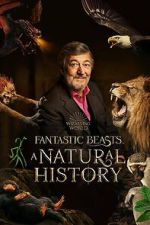 Watch Fantastic Beasts: A Natural History Megashare9