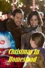 Watch Christmas in Homestead Megashare9