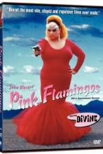 Watch Pink Flamingos Megashare9
