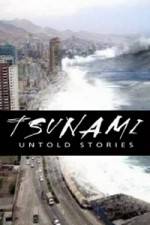 Watch Tsunami: Untold Stories Megashare9