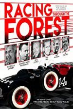 Watch Racing Through the Forest Megashare9