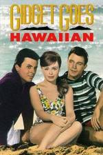 Watch Gidget Goes Hawaiian Megashare9