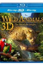 Watch Wild Animals - The Life of the Jungle 3D Megashare9