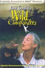 Watch Jane Goodall's Wild Chimpanzees Megashare9
