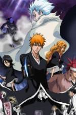 Watch Bleach: The Diamond Dust Rebellion Megashare9