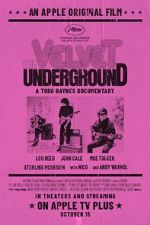 Watch The Velvet Underground Megashare9