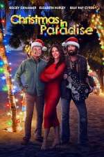 Watch Christmas in Paradise Megashare9