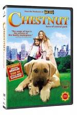 Watch Chestnut - Hero of Central Park Megashare9