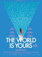 Watch The World Is Yours Megashare9