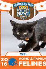 Watch Kitten Bowl III Megashare9