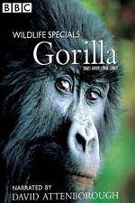 Watch Gorilla Revisited with David Attenborough Megashare9