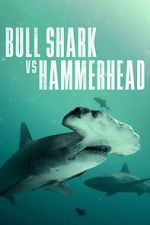 Watch Bull Shark vs Hammerhead Megashare9