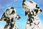 Watch 101 Dalmatians Sing Along Megashare9