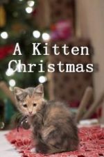 Watch A Kitten Christmas Megashare9