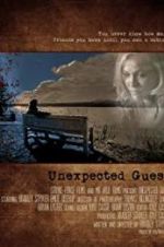 Watch Unexpected Guest Megashare9