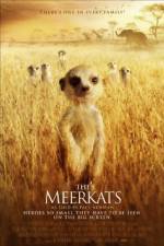 Watch The Meerkats Megashare9