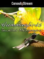 Watch Hummingbirds Jewelled Messengers Megashare9