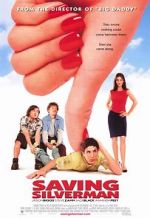 Watch Saving Silverman Megashare9