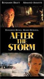 Watch After the Storm Megashare9