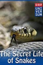 Watch The Secret Life of Snakes Megashare9