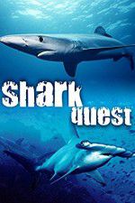 Watch Shark Quest Megashare9