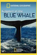 Watch National Geographic Kingdom of Blue Whale Megashare9