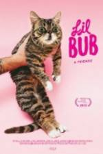 Watch Lil Bub & Friendz Megashare9