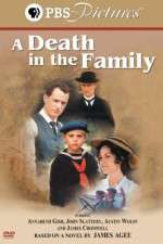 Watch A Death in the Family Megashare9