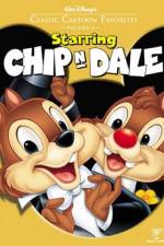 Watch Chip an' Dale Megashare9