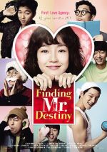 Watch Finding Mr. Destiny Megashare9