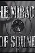 Watch The Miracle of Sound Megashare9