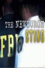 Watch The Newburgh Sting Megashare9