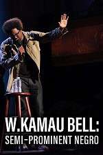 Watch W. Kamau Bell: Semi-Promenint Negro Megashare9