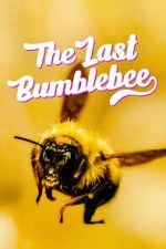 Watch The Last Bumblebee Megashare9