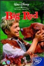 Watch Big Red Megashare9