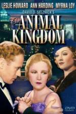 Watch The Animal Kingdom Megashare9