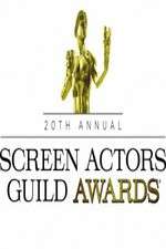 Watch The 20th Annual Screen Actors Guild Awards Megashare9