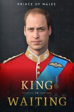 Watch Prince of Wales: King in Waiting Megashare9