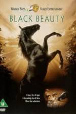 Watch Black Beauty Megashare9