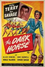 Watch The Dark Horse Megashare9