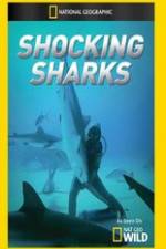 Watch Shocking Sharks Megashare9