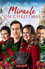 Watch Miracle on Christmas Megashare9