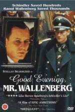 Watch Good Evening, Mr. Wallenberg Megashare9