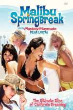 Watch Malibu Spring Break Megashare9