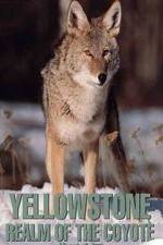 Watch Yellowstone: Realm of the Coyote Megashare9