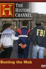 Watch The History Channel: Busting the Mob Megashare9