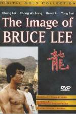 Watch The Bruce Lee Story - (Meng nan da zei yan zhi hu) Megashare9