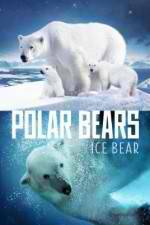 Watch Polar Bears Ice Bear Megashare9