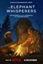 Watch The Elephant Whisperers Megashare9