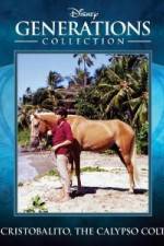 Watch Cristobalito the Calypso Colt Megashare9